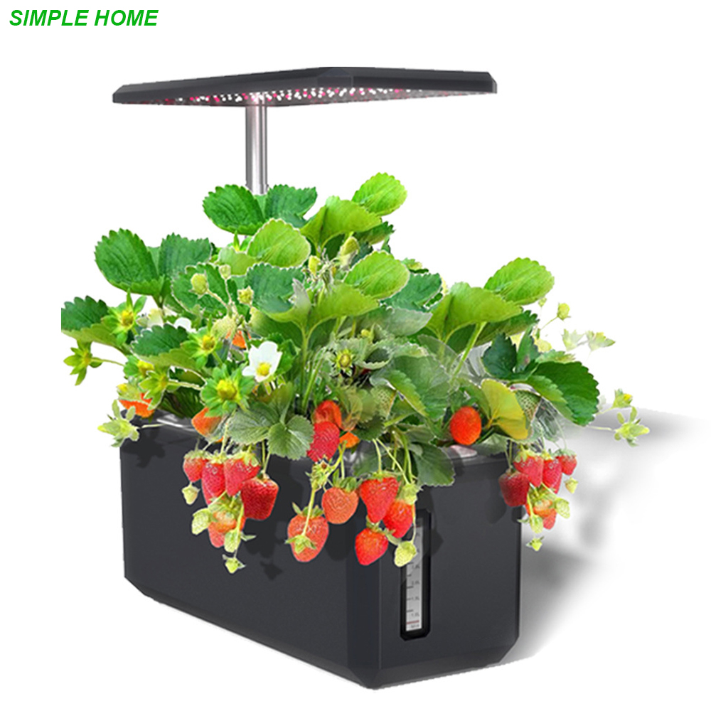 Smart Garden Led Lights - Hydroponics Growing System With Indoor Plant
