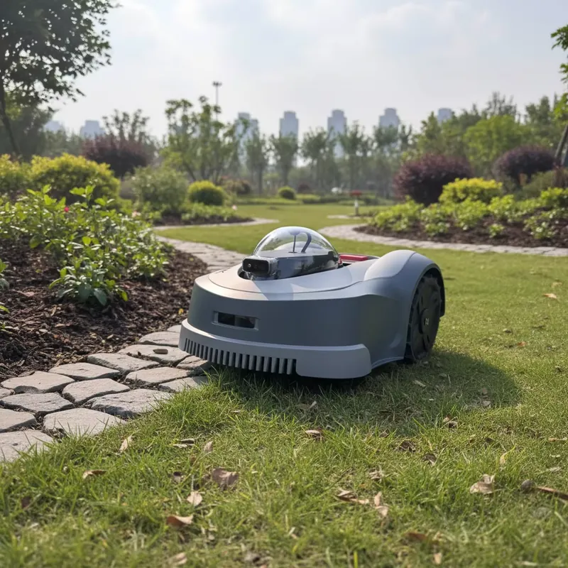 Newest Mini Smart Robotic Lawn - Smart Garden Robot 评论和价格