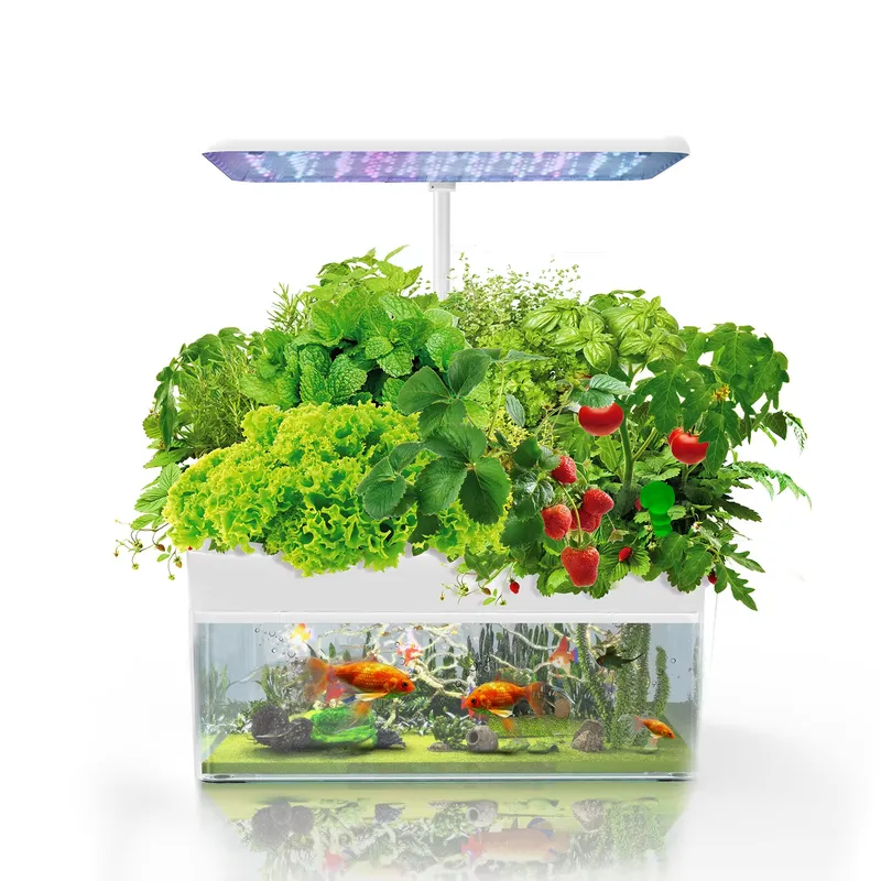 Brand IGS-70 Indoor Hydroponic - Smart Gardening 评论和价格