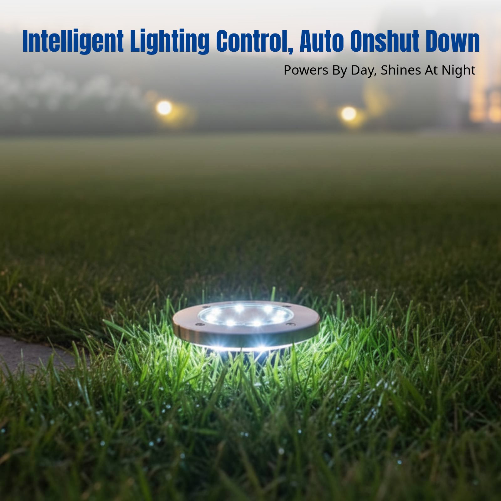 Solar Ground Light, LED Lawn L - Smart Garden Led Lights 评论和价格