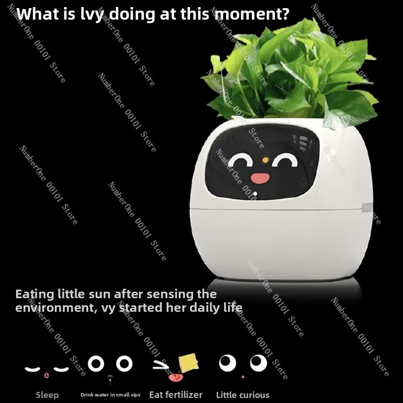 USB Rechargeable Self-Watering - Self Watering Pot Sensor 评论和价格