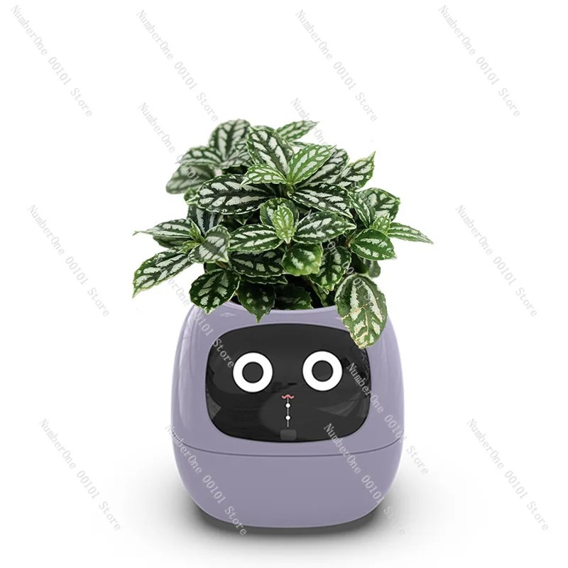 USB Rechargeable Self-Watering - Self Watering Pot Sensor 评论和价格